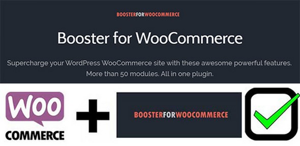 Booster Plus for WooCommerce v8.0.2
