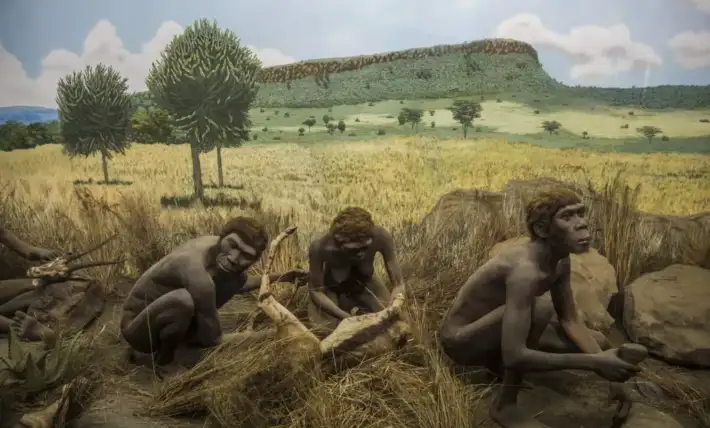 DNA has spoken: Scientists finally reveal the date humans first learned to speak