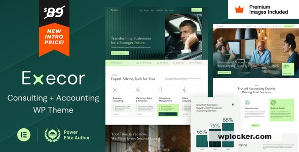 Execor v21 – Accounting and Management Consulting WordPress Theme