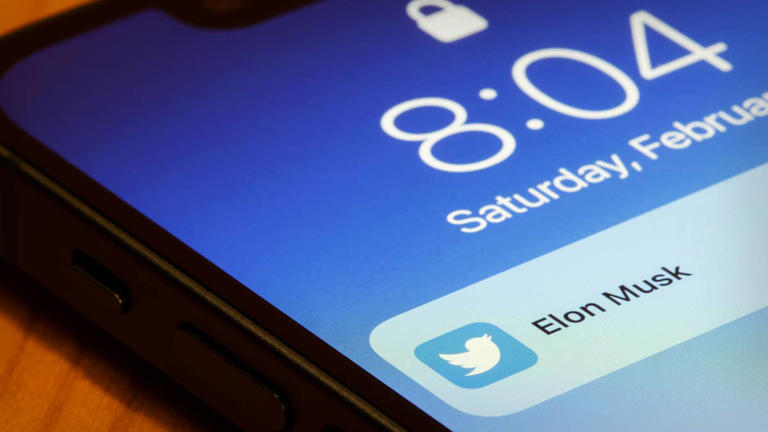 Elon Musk SEC settlement over alleged deception in Twitter purchase raises ‘red flags’