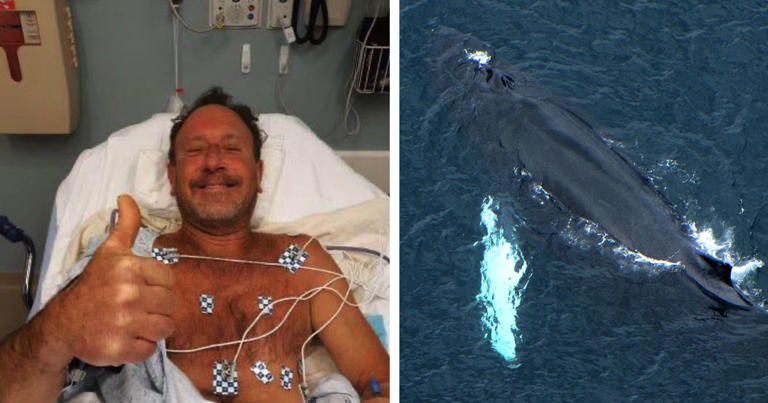 Being swallowed alive by a whale wasn’t the worst thing that ever happened to this man – not even close