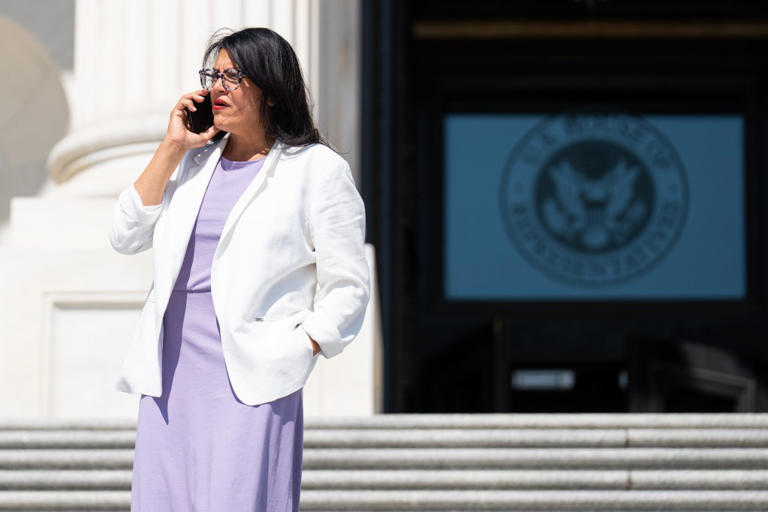 Crypto basher Rep. Rashida Tlaib stashes savings in Ethereum and Bitcoin, disclosures reveal