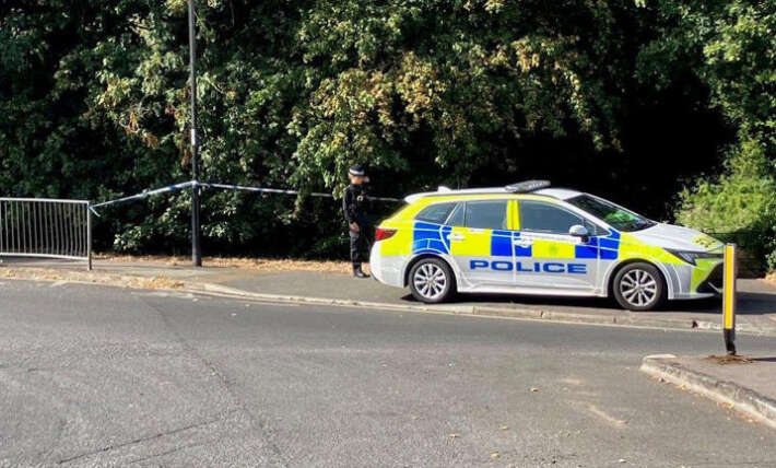 Man bailed over rape of girl, 14, in wooded area