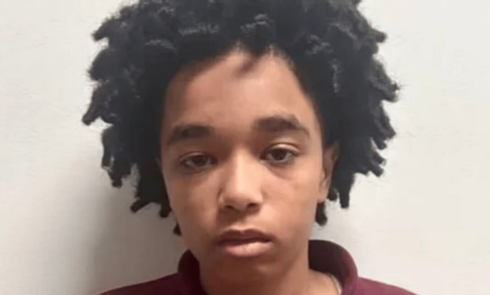 Georgia teen gets life for killing her mother after backing out of a school shooting
