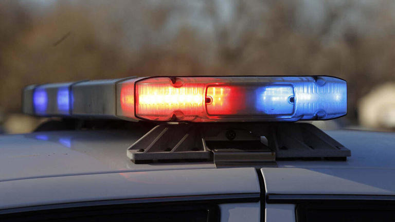 Man seen on video abusing ducks in Pines, prompting investigation, police say
