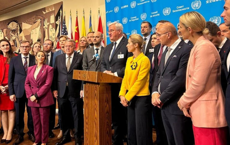 Ukraine agrees to full ceasefire and expects same from Russia: UN statement