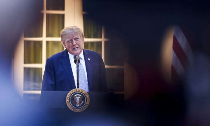 Democracy may survive Trump, but it looks like capitalism might not