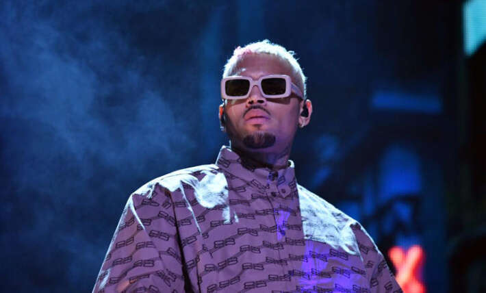 Chris Brown finally gets a courtroom win: Why a judge may slash millions from $12.9 million dog attack verdict