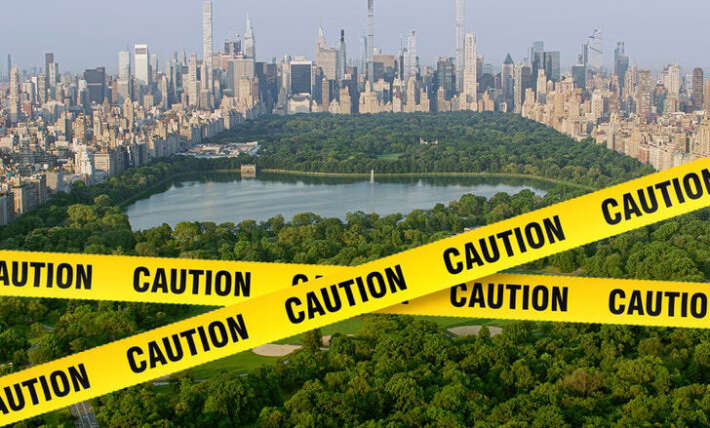 Cyclist dies after colliding with dog in Central Park, dog lives