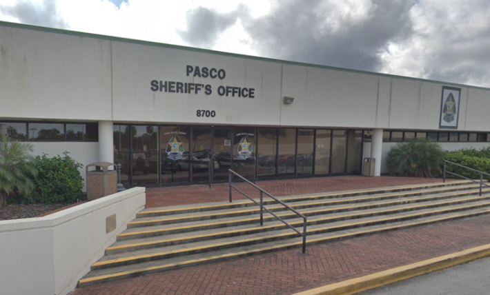 Florida woman accused of killing cat and putting remains in a blender