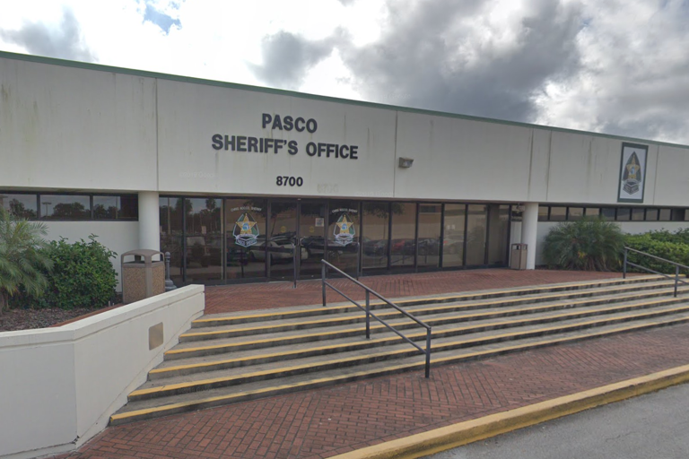 Florida woman accused of killing cat and putting remains in a blender