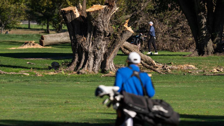 Tensions flare at court hearing on Trump’s golf course renovation after president says construction will begin immediately