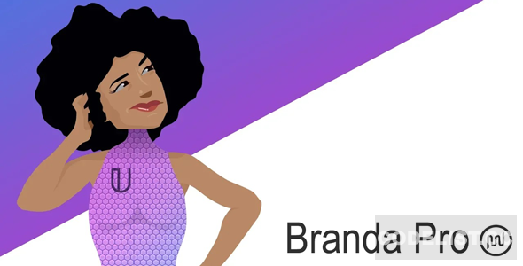 Branda Pro v3.4.30 – WordPress white label branding