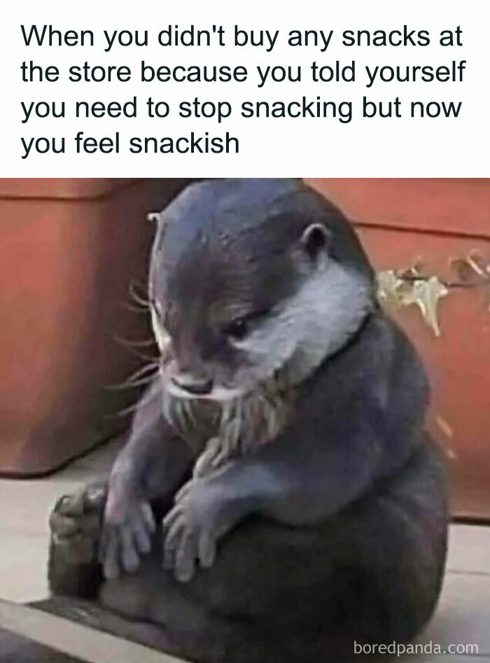 When you didint buy any snacks at the store