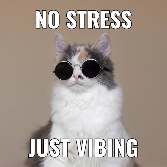 No stress just vibing