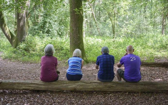 Social ties, stability, and purpose emerge as key health drivers