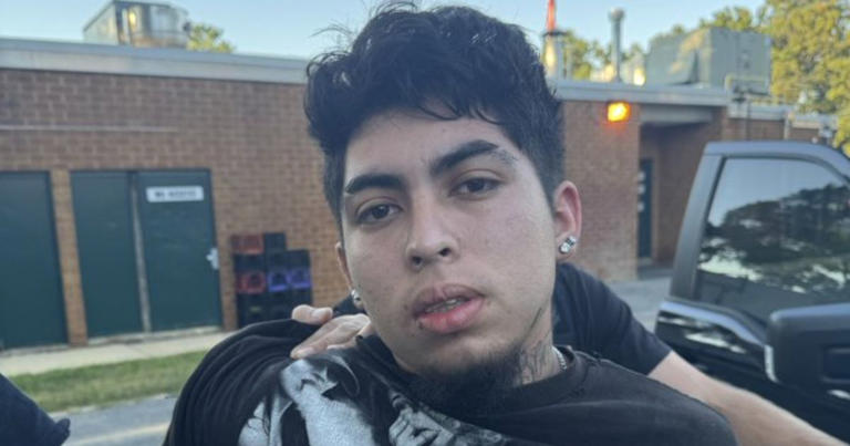 Virginia mother of 3 found stabbed and doused with gasoline, illegal immigrant, 19, charged