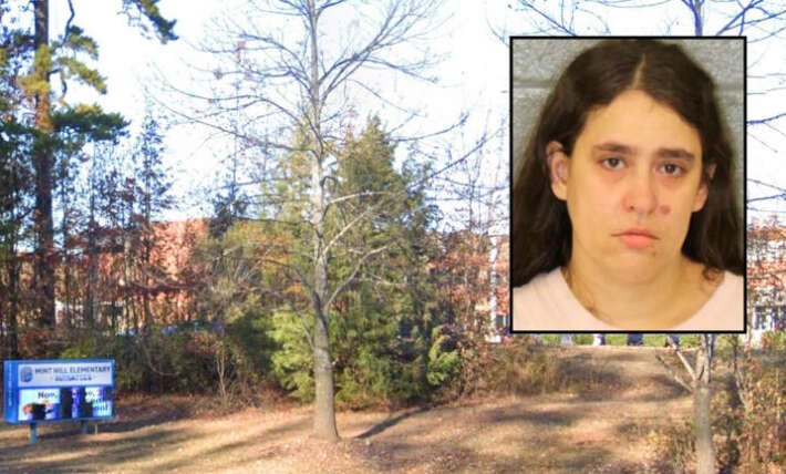 Mom brings her .38 to elementary school drop-off, then pulls it on another woman she thought tried to run her off the road: Police