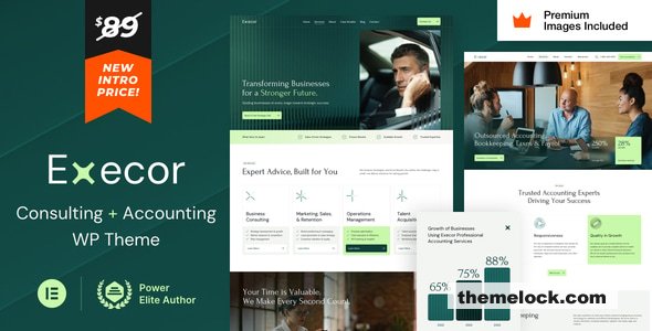 Execor v20 – Accounting and Management Consulting WordPress Theme