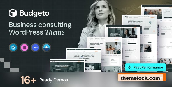 Budgeto v1.0.7 – Business Consulting WordPress Theme