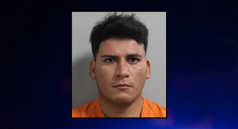 Honduran man arrested after attacking 77-year-old Florida woman: Polk County Sheriff