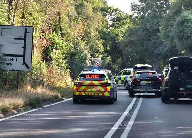 Woman, 62, dies after Audi that had been chased by police for six minutes crashed into her car
