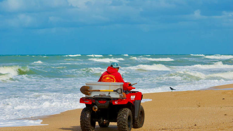Surfer attacked at shark bite capital of the world 2 AA2bw6br