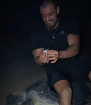 Tourist sparks fury after riding a sea turtle down a beach as it was laying eggs