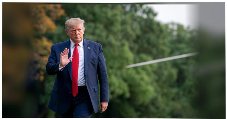 11th Circuit lets stand finding that Trump’s IRS lawsuit was collusive
