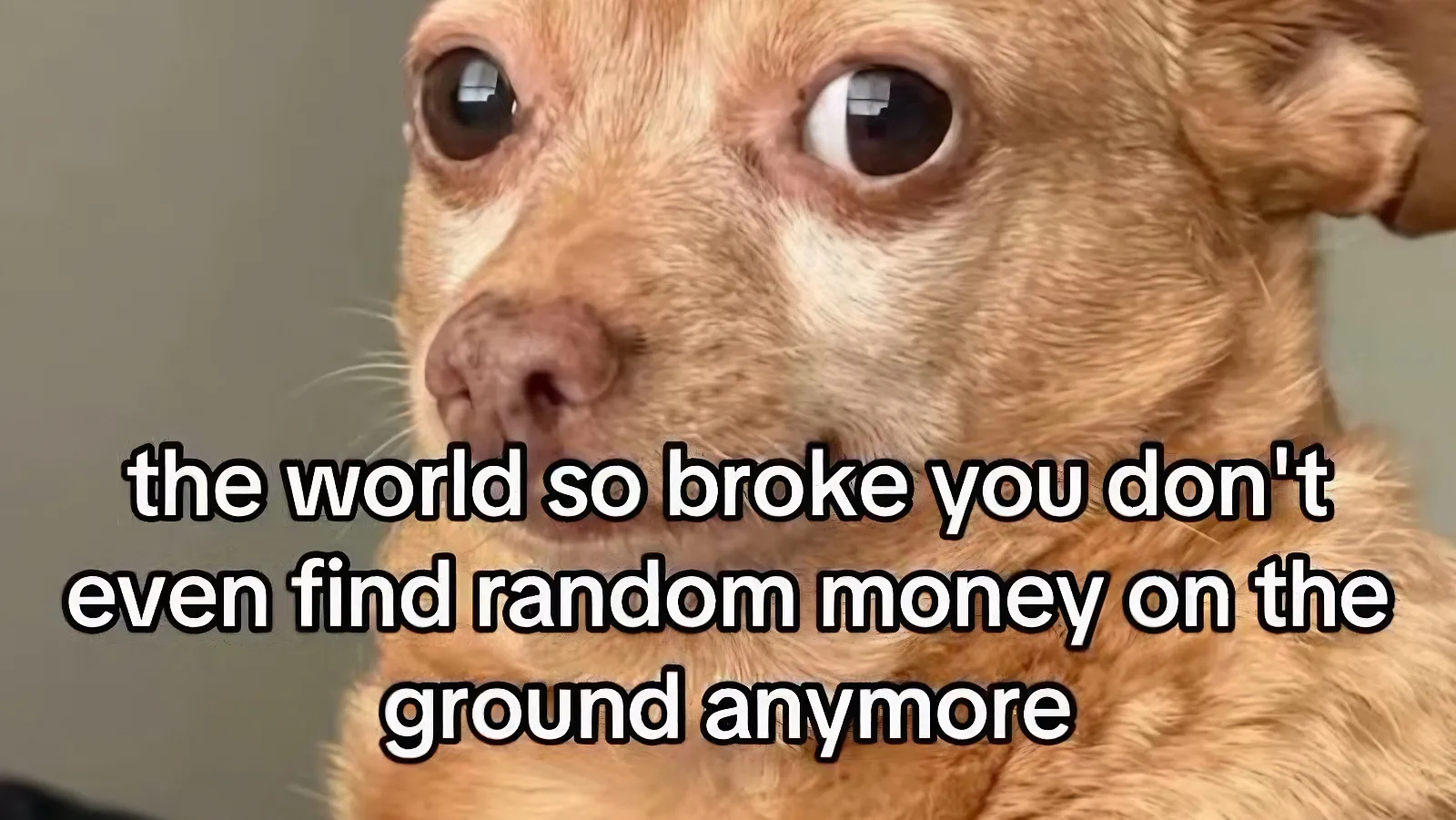 The world so broke you dont even find random money on the ground anymore